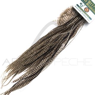 1/2 croupes de coq HEBERT bronze Dun Grizzly