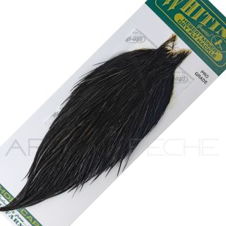 Cous de coq Whiting HEBERT Pro Grade Noir