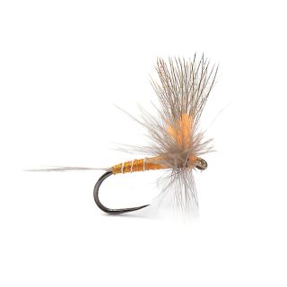 Mouche DEVAUX Emergente JBE 81 (par 3)