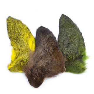 Oreille de chevreuil teintées