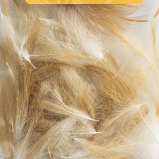 Cul de canard XL AB FLY