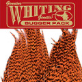 Whiting Bugger Pack